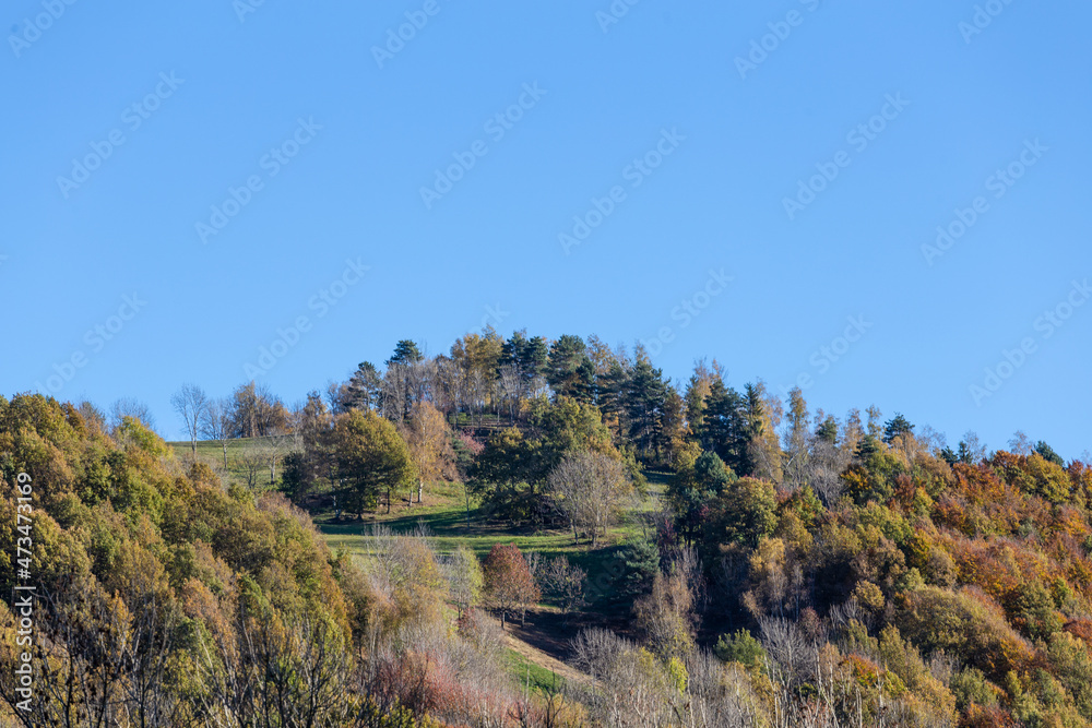Autumn foliage colours on the top of a hill on a solid blue sunny sky