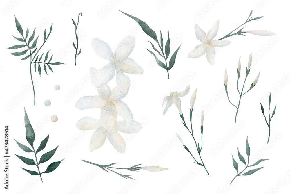 Naklejka premium Set of watercolor jasmine flowers hand painted illustration isolated on a white background. Floral elements for greeting cards and invitations.