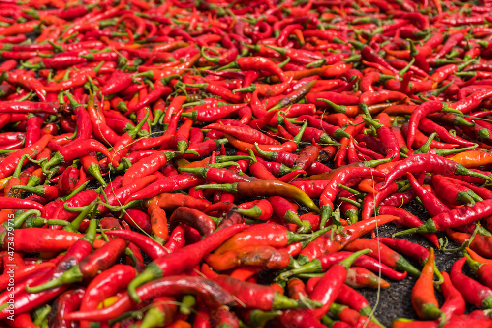 Czerwona papryka Chili, piękne naturalne tło gastronomiczne. - obrazy, fototapety, plakaty 