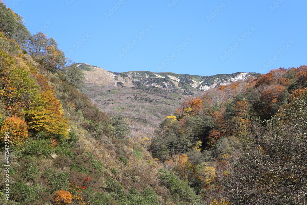 白山登山口・別当出合の紅葉と山並み（石川県白山市）