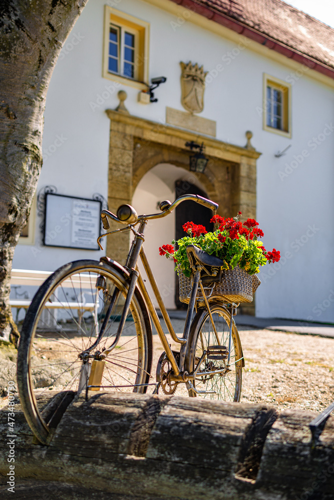 A rusty old bicycle with red roses in the back basket and a entrance to an old caslte on a hill in my hometown