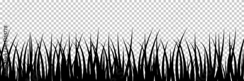 Grass silhouette. Landscape of meadow. Black grass with border. Plant on nature. Illustration for field, lawn and garden isolated on transparent background. Grassland in spring. Vector