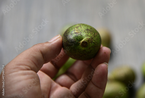 Pometia pinnata, with common names including matoa, taun tree, island lychee, tava, Pacific lychee is a large tropical hardwood and fruit tree species, of the plant family Sapindaceae.