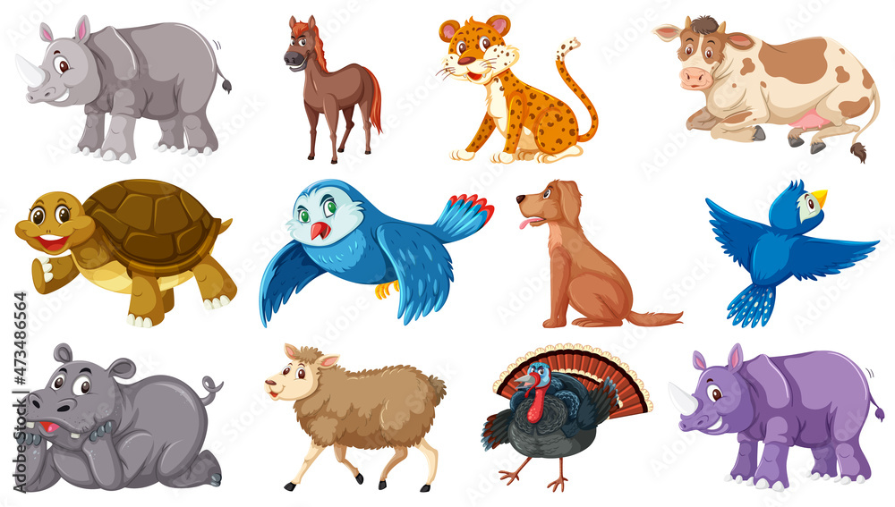 Obraz premium Set of various animals on white background