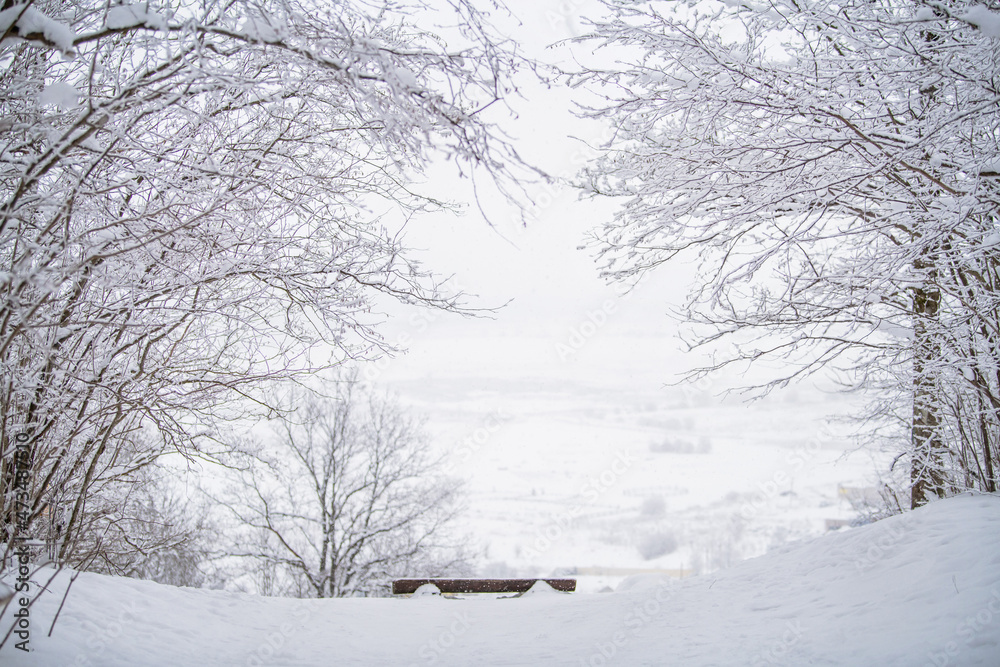A bench standing on a hill overlooking the misty snow-covered landscape of the northern park. A bench standing on a hill overlooking the misty snow-covered landscape of the northern park.