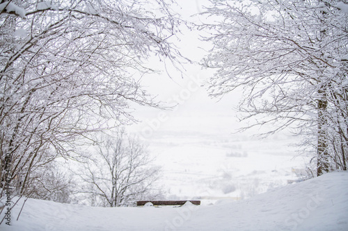 Wallpaper Mural A bench standing on a hill overlooking the misty snow-covered landscape of the northern park. Torontodigital.ca