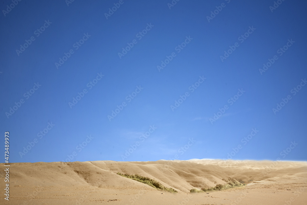 Views of sand dune