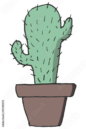 cactus in a pot color doodle illustration houseplant