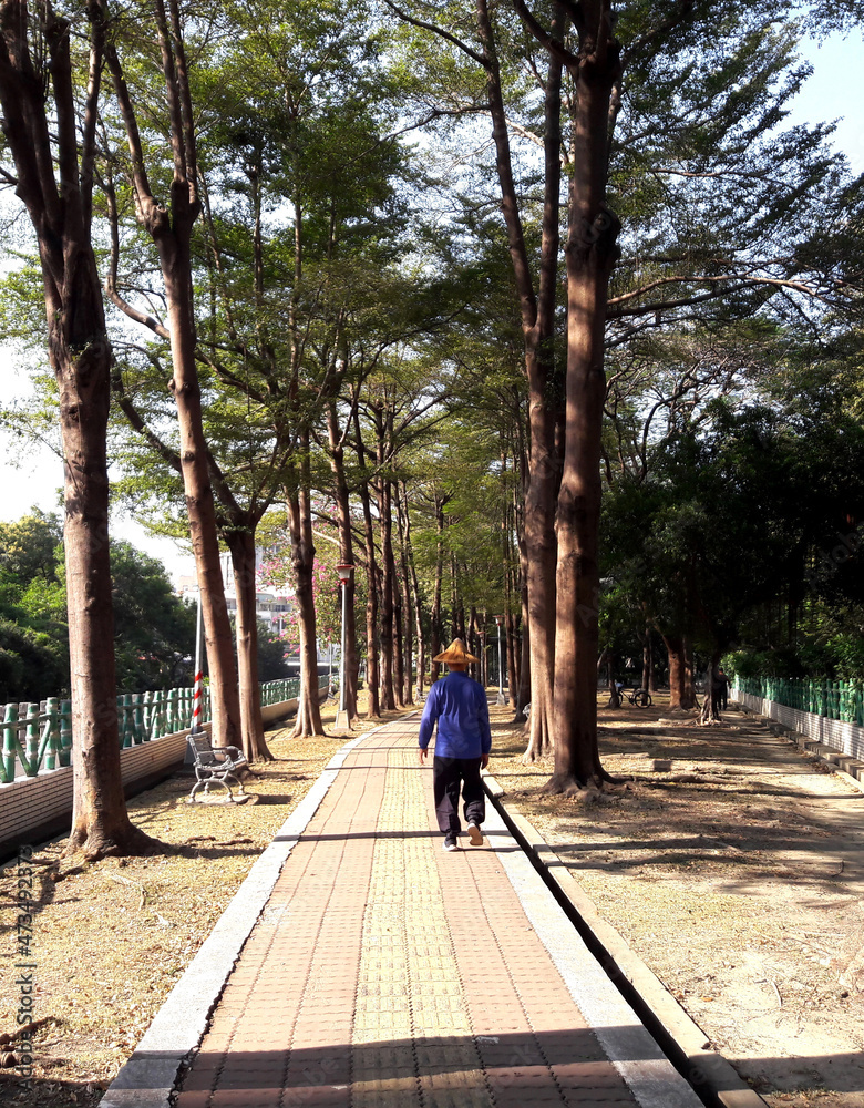 Back view of an Asian man walking on a forest path in the park in the ...