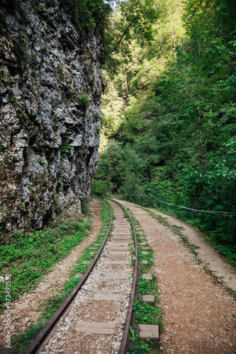 old railway in a green forest gorge