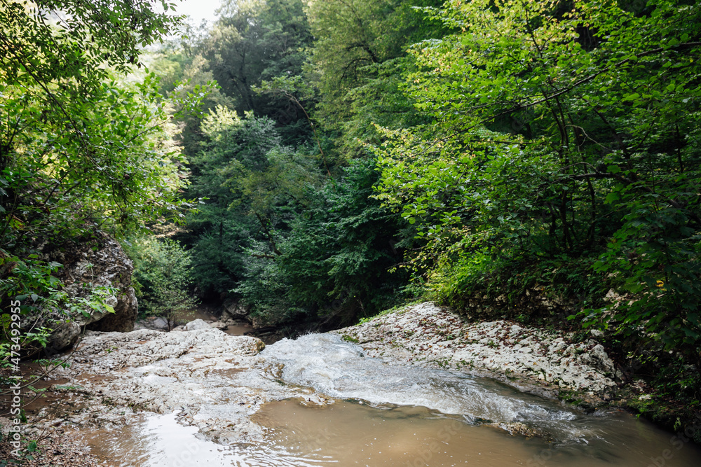 fast mountain river in a green forest landscape fast mountain river in a green forest landscape