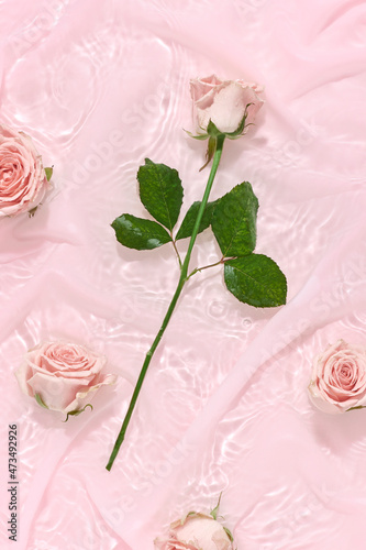 Pink silk fabric background with flowers and bouquet in water. Valentines or woman s day minimal flat lay concept. Nature bloom idea.