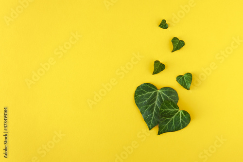Love valentines or woman's day concept. Heart shape from green leaves on yellow background, top view, copy space. Minimal flat lay nature.