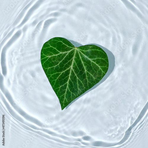 Valentine's day minimal concept. Heart shaped green leaf in water, flat lay, top view. Minimal flat lay nature.