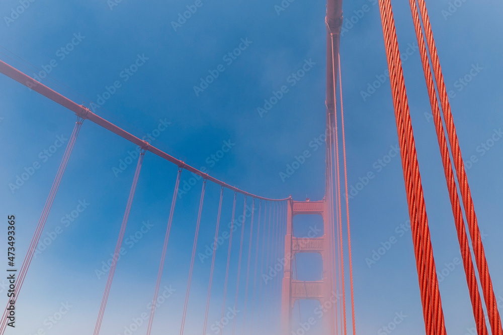 Obraz premium cable bridge