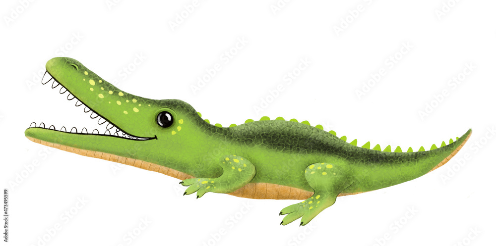 Fototapeta premium cute illustration crocodile isolated white background