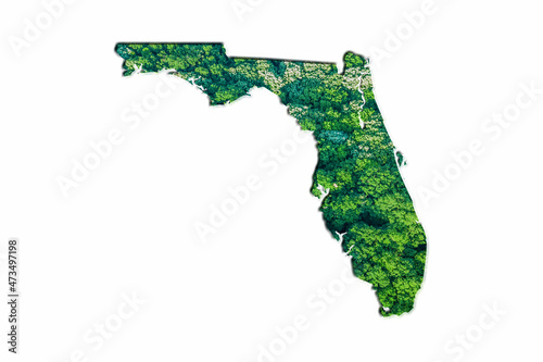 Green Forest Map of Florida