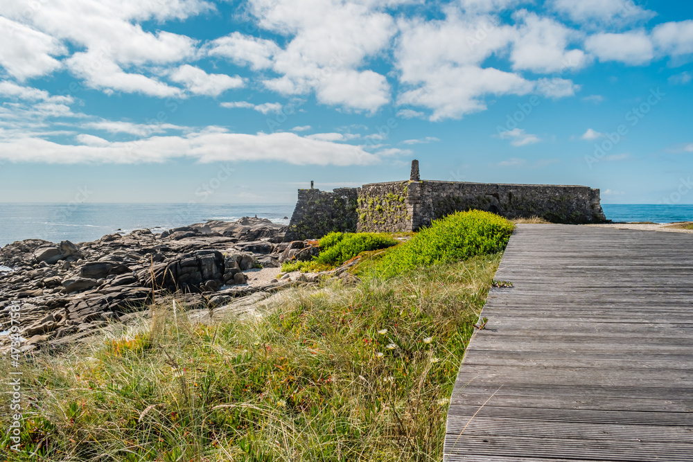 Maritime vegetation and wooden walkway next to the Cão fort on the coast, Gelfa PORTUGAL