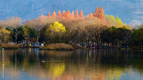 Obraz na płótnie Mt.Ibuki and Mishimaike pond