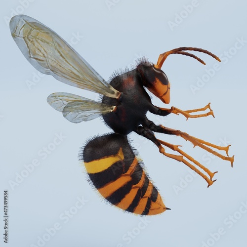 Wallpaper Mural Realistic 3D Render of Asian Hornet Torontodigital.ca