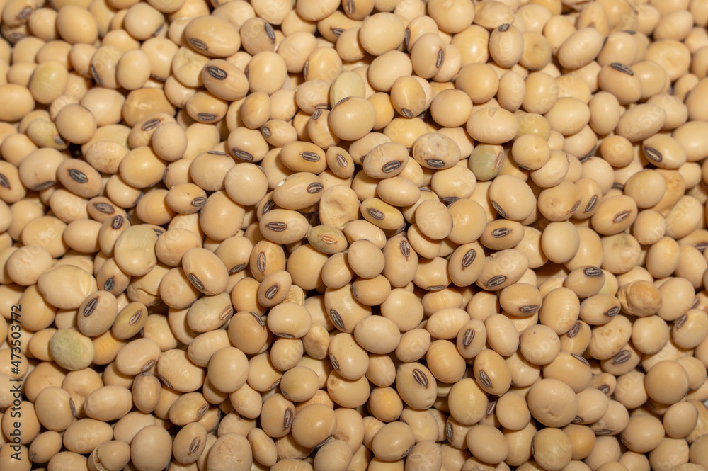 Soybeans placed in a bowl or plate are on the wood grain table Soybeans placed in a bowl or plate are on the wood grain table