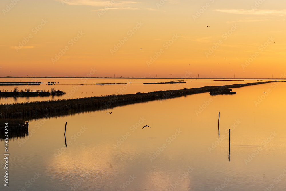 Comacchio's lagoons - Po Delta Natural Park Comacchio's lagoons - Po Delta Natural Park