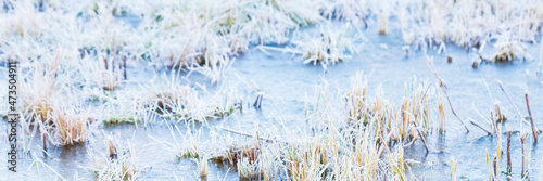 Grass covered with frost, among the ice. Beautiful natural background with hoarfrost on the grass. Ground texture with frozen meadow plants. Rime ice on blades of grass during frosts. Cold weather.