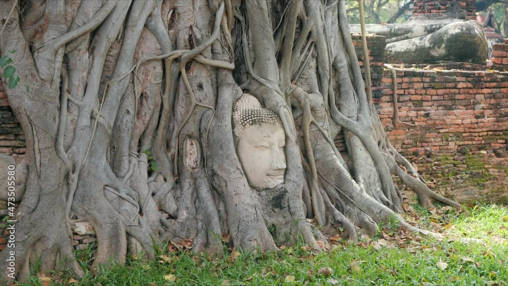 Ayutthaya buddha head in tree roots, Buddhist temple Wat Mahathat in thailand. Amazing Thailand travel concept. Ayutthaya buddha head in tree roots, Buddhist temple Wat Mahathat in thailand. Amazing Thailand travel concept.
