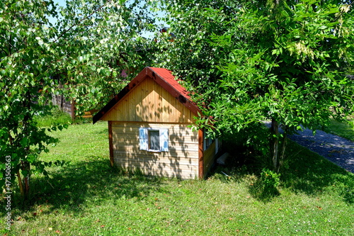 A view of an old wooden hut or shack made out of wood standing in the middle of a dense orchard or forest, seen during a sunny summer day during a hike on a Polish countryside
