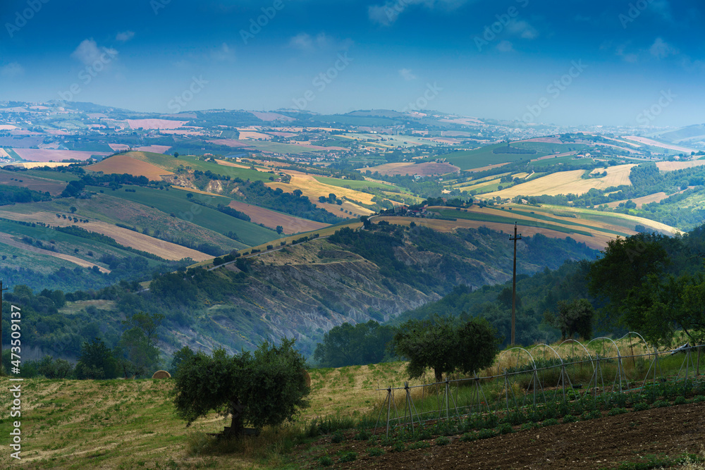 Country landscape near Monterubbiano, Marche, Italy