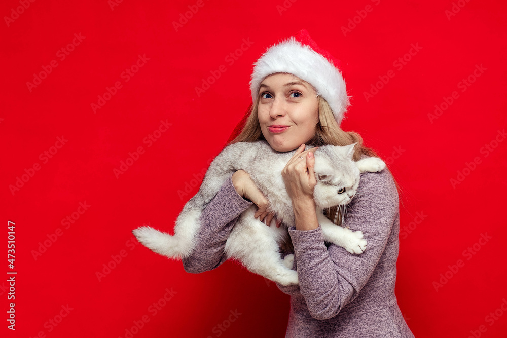 Beautiful girl in a Christmas cap holds a cute white British cat on a red background, cat is trying to escape. Beautiful girl in a Christmas cap holds a cute white British cat on a red background, cat is trying to escape.