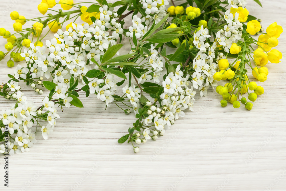 Spring flowering branches of gray spirea and yellow mahonia on a wooden light background. Spring flowering branches of gray spirea and yellow mahonia on a wooden light background.