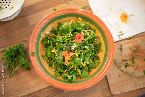 Salat aus frischen Wildkräutern