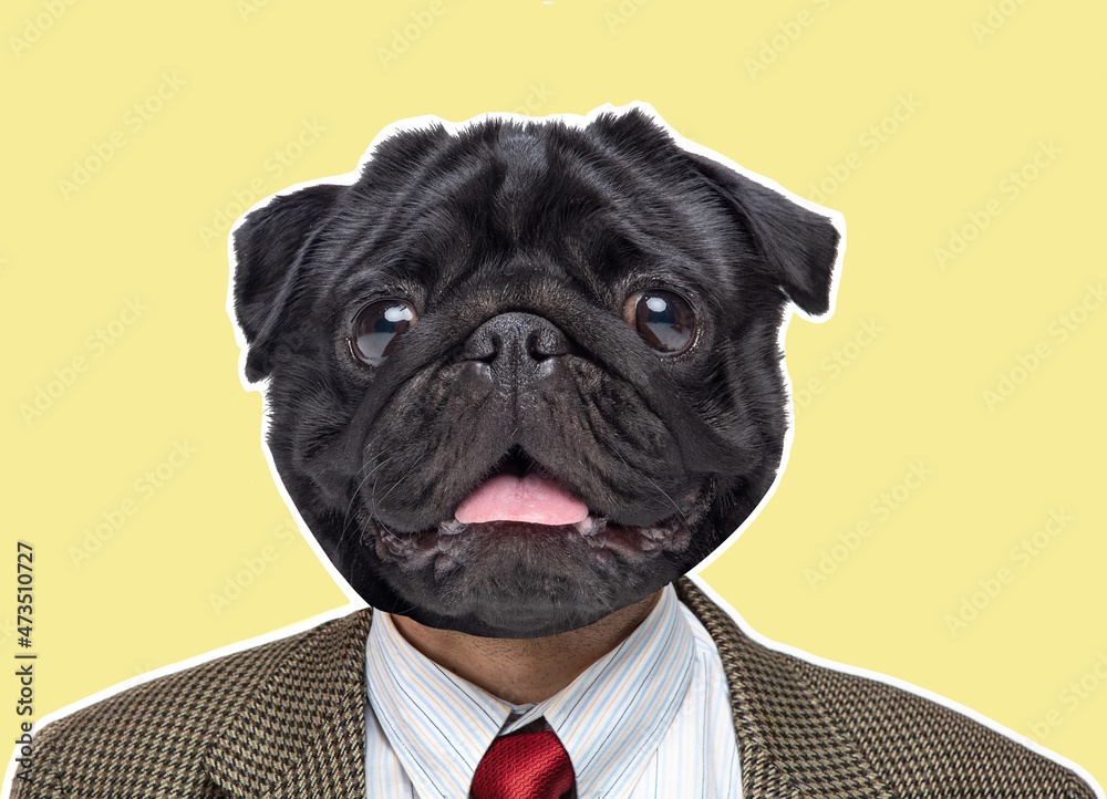 custom made wallpaper toronto digitalArt business man with dog head. Portrait of trendy magazine style