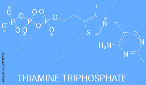 Thiamine triphosphate molecule. Skeletal formula. Chemical structure