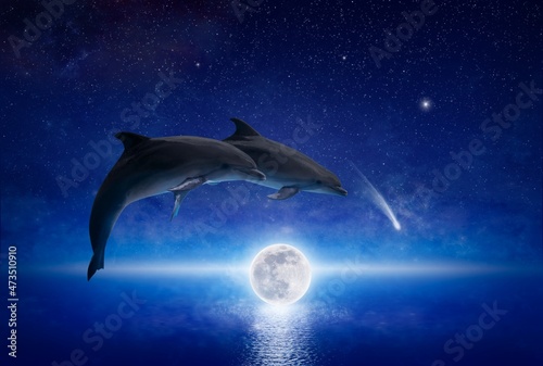 Two dolphins leap across glowing full moon that hovers low above serene sea. There are bright stars and comet in dark blue night sky. © IgorZh