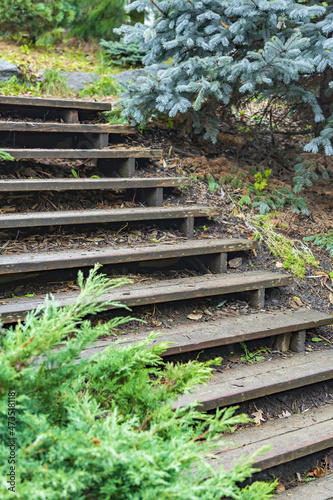 Part of a walking eco-trail with steps along the slope of a coniferous hill in a public city park