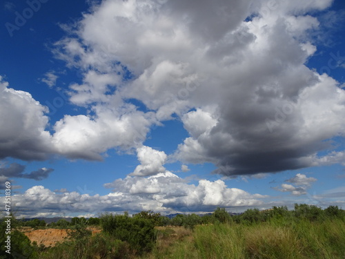 Storm Clouds Over Spanish Olive Grove photo