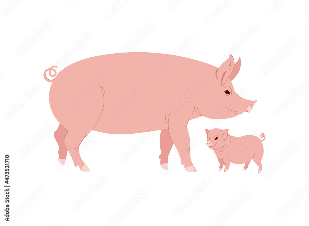 Farm Animal Pig with Funny Piggy. Little Piglet. Vector illustration Set. Farm Animal Pig with Funny Piggy. Little Piglet. Vector illustration Set.