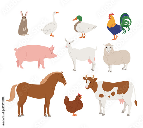 Vector collection of farm animals and birds, including horse, cow, sheep, goat, pig, rabbit, duck, goose and chicken