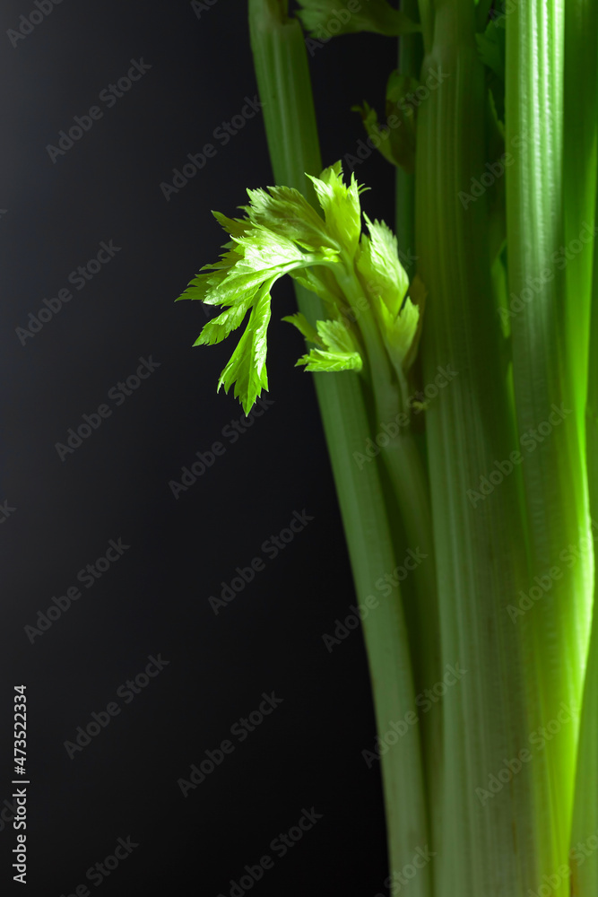 Fototapeta premium Fresh celery sticks.