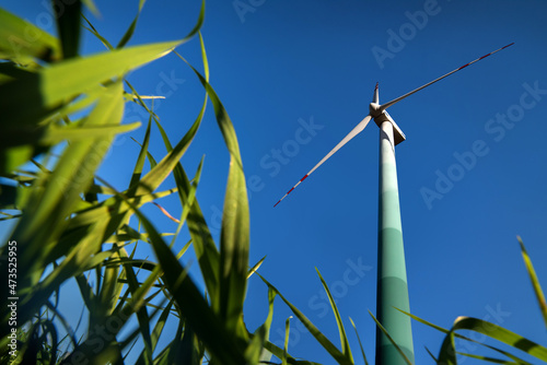 Wind turbine for electricity generation, view from grass, ecological concept ...