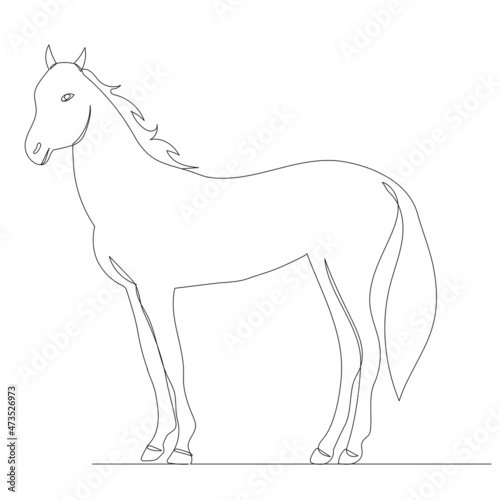 horse  continuous line drawing  sketch  vector