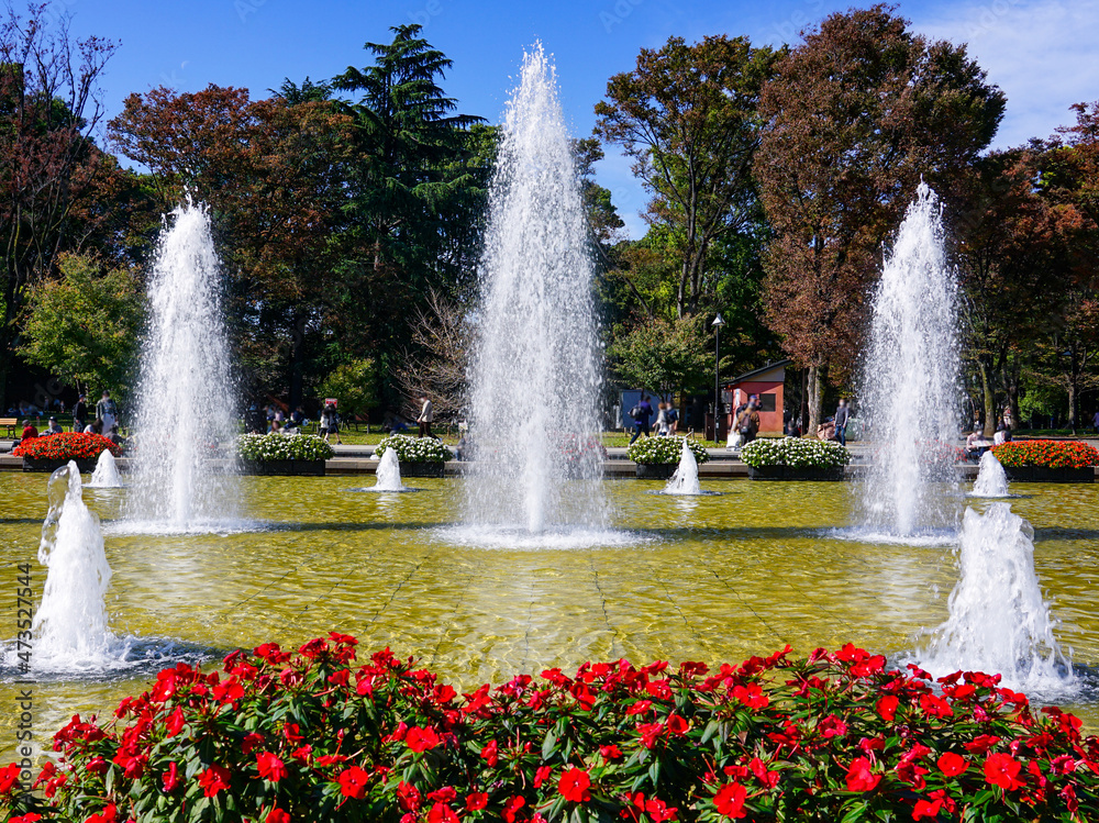 Naklejka premium サンパチェンスが咲く上野恩賜公園の噴水広場（東京都台東区）