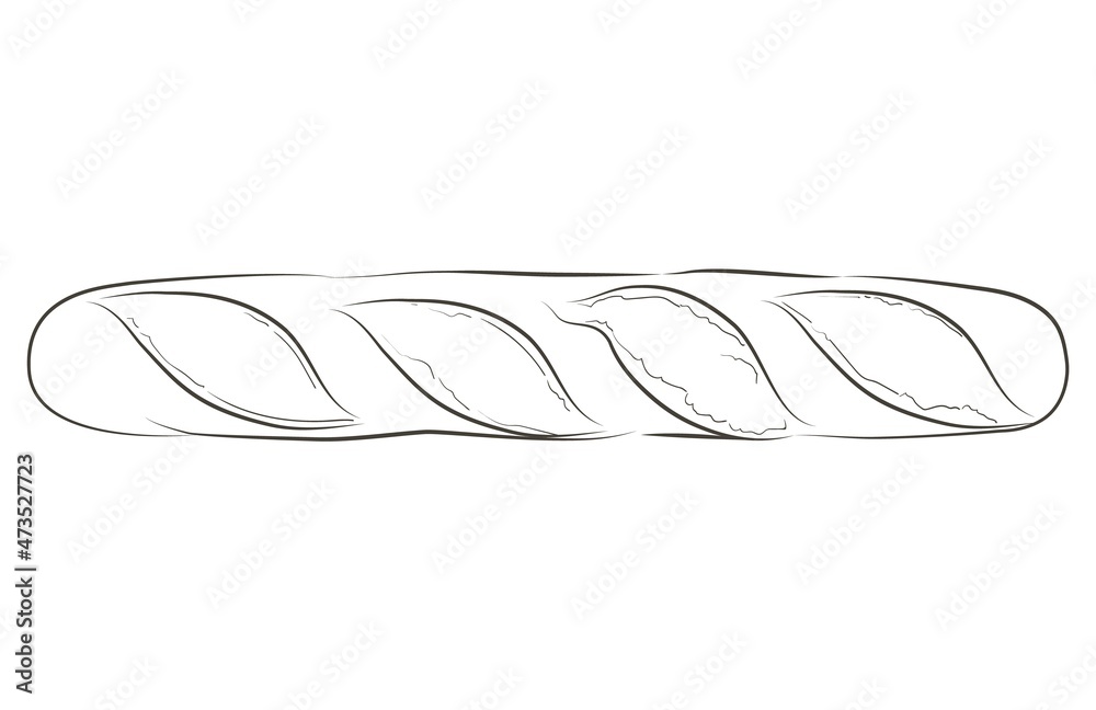 French baguette. Long loaf. Rye whole grain baked bread. Vector sketch realistic line vintage illustration. French baguette. Long loaf. Rye whole grain baked bread. Vector sketch realistic line vintage illustration.