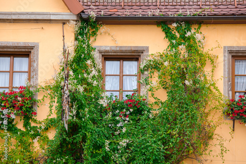 Germany, Rothenburg, fairy tale town, home, windowsill