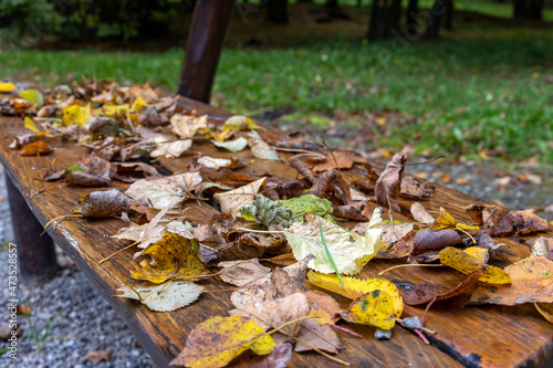 A bench in the autumn park covered with fallen leaves, close up.