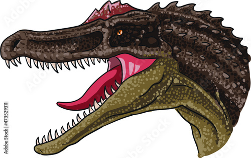Drawing spinosaurus head, art.illustration, vector © Uking