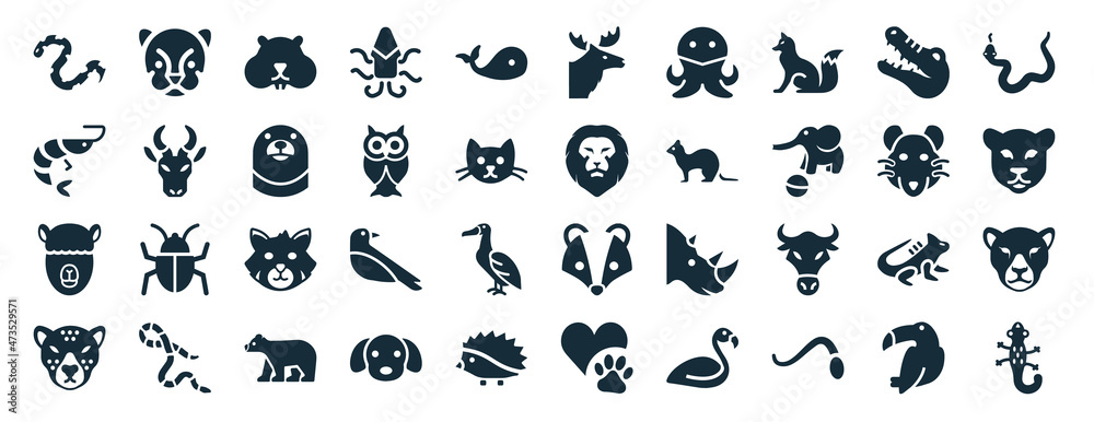 Obraz premium set of 40 filled animals web icons in glyph style such as cougar, prawn, alpaca, cheetah, rat, cottonmouth, elk icons isolated on white background