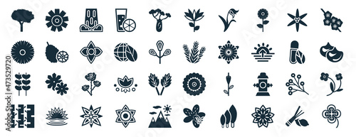 set of 40 filled nature web icons in glyph style such as dianthus, chrysanthemum, pinnate, birch, natural medical pills, sakura, protea icons isolated on white background